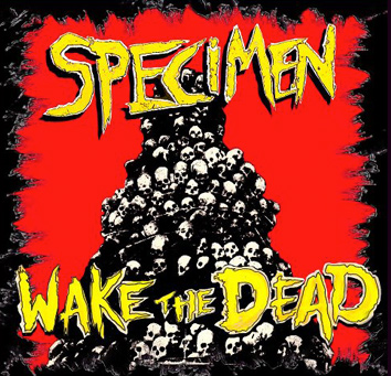 Wake The Dead